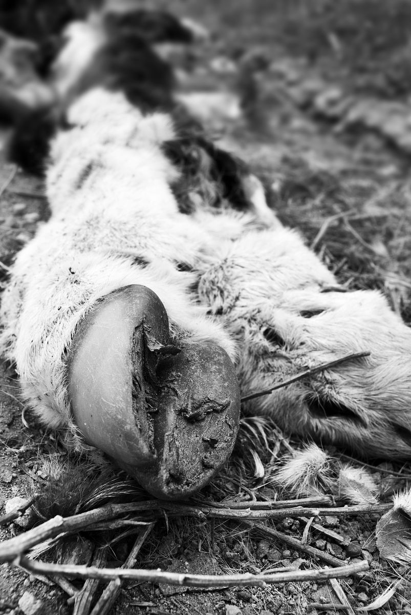 life is fragile