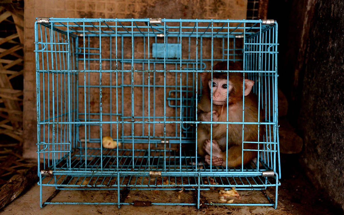 广州市广播电视大学园长定制班：优势、不足及优秀园长素质