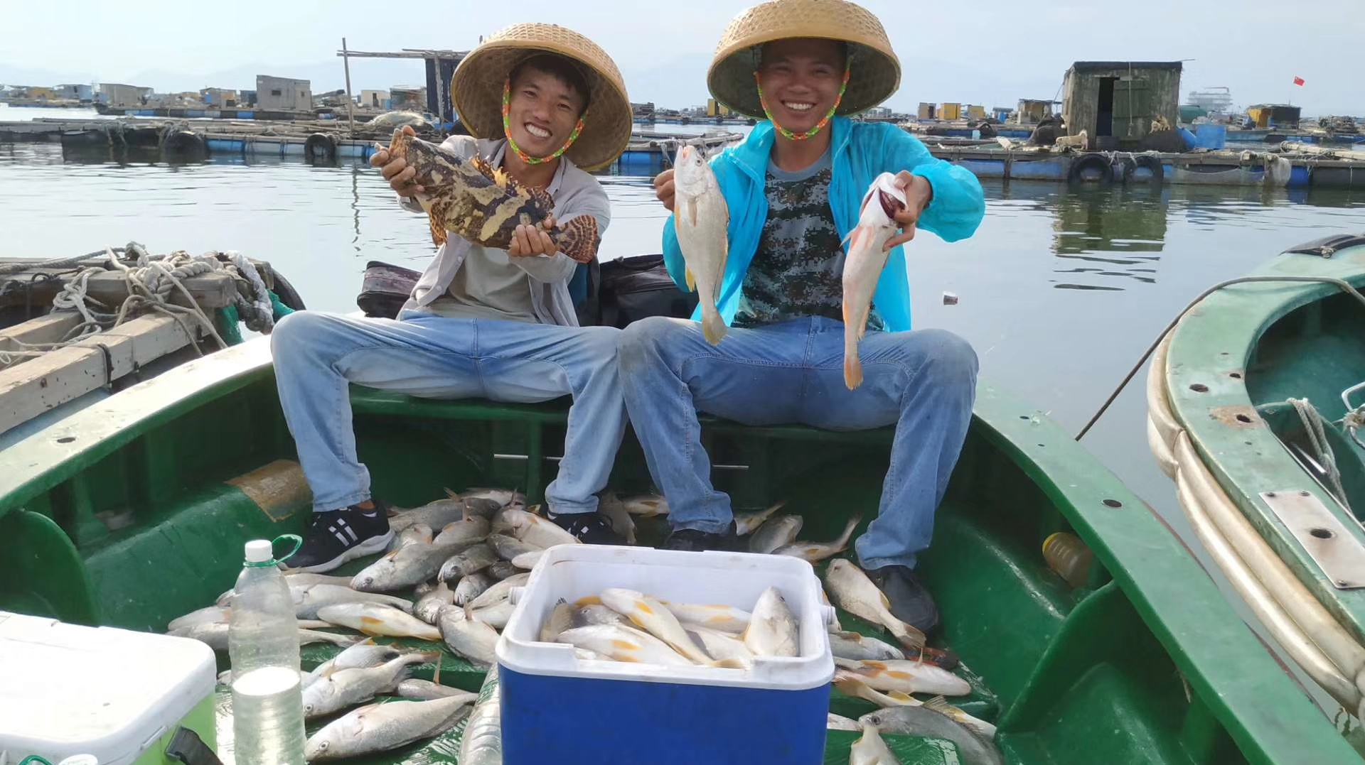 广东阳江海陵岛钓鱼,600包船钓了十几斤海鱼,大家觉得怎么样