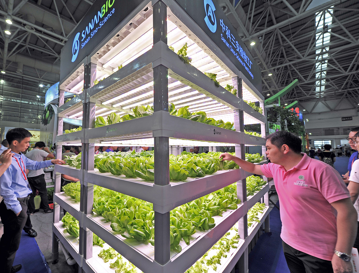 数字化表型系统赋能精准设计物种：助力潍坊市种业发展