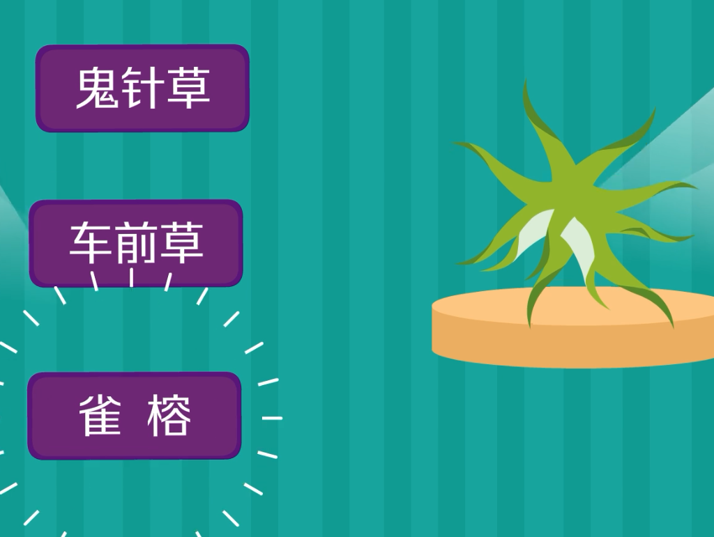 盘点植物传播种子的小妙招