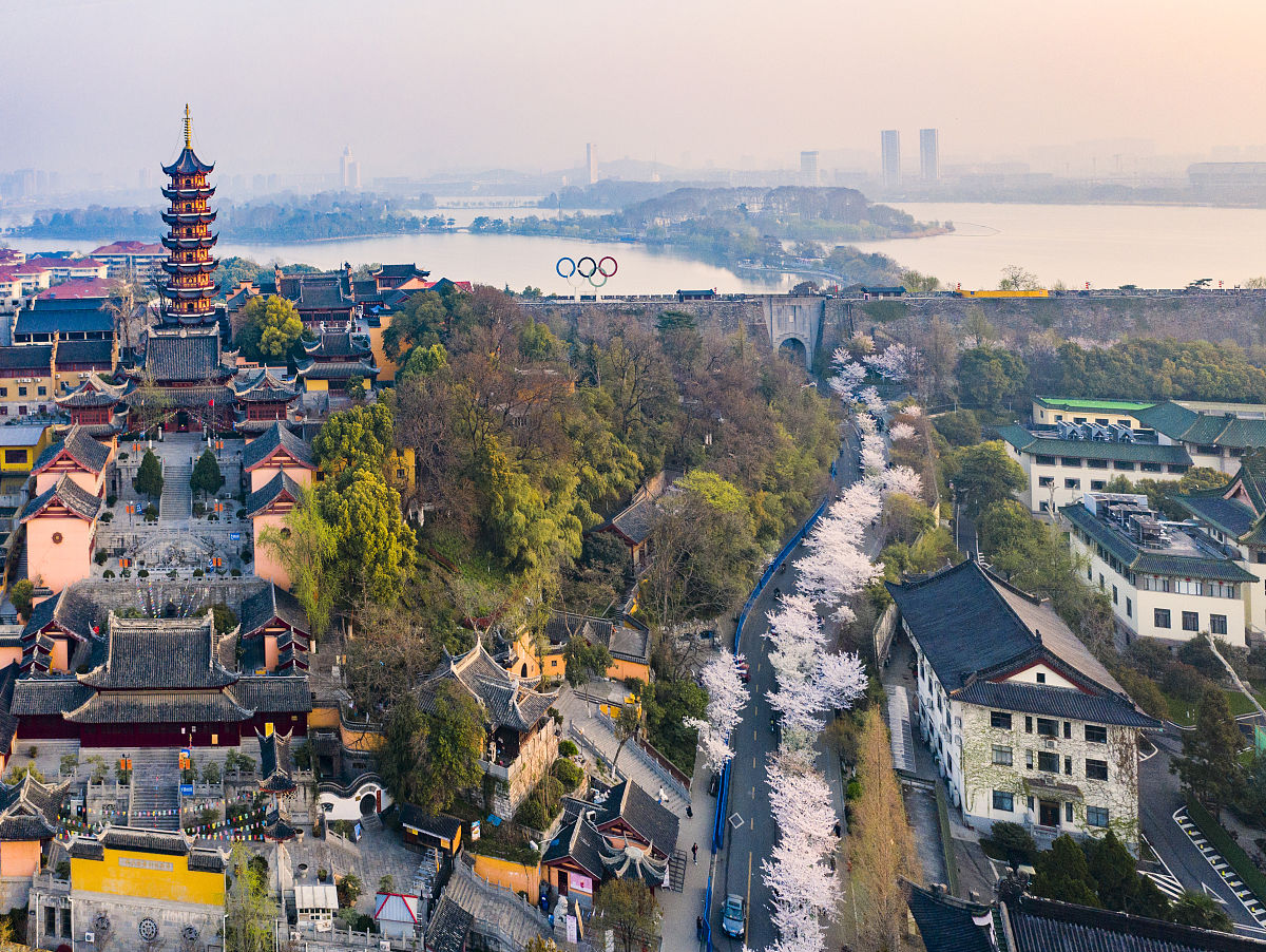 2019年3月26日,又是一年樱花开,南京鸡鸣寺的樱花大道变成一道亮丽的