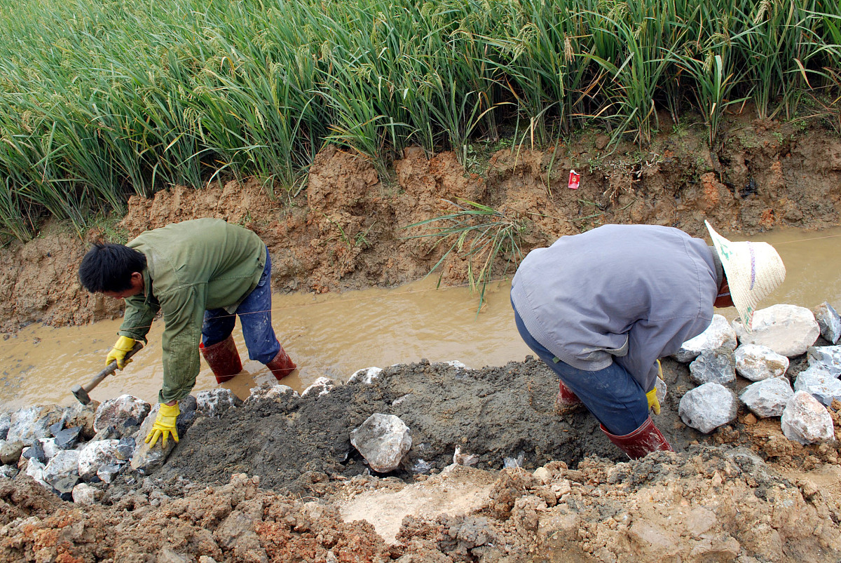 农田水利工程设计问题研究：提升科学性、可行性和效益性的关键