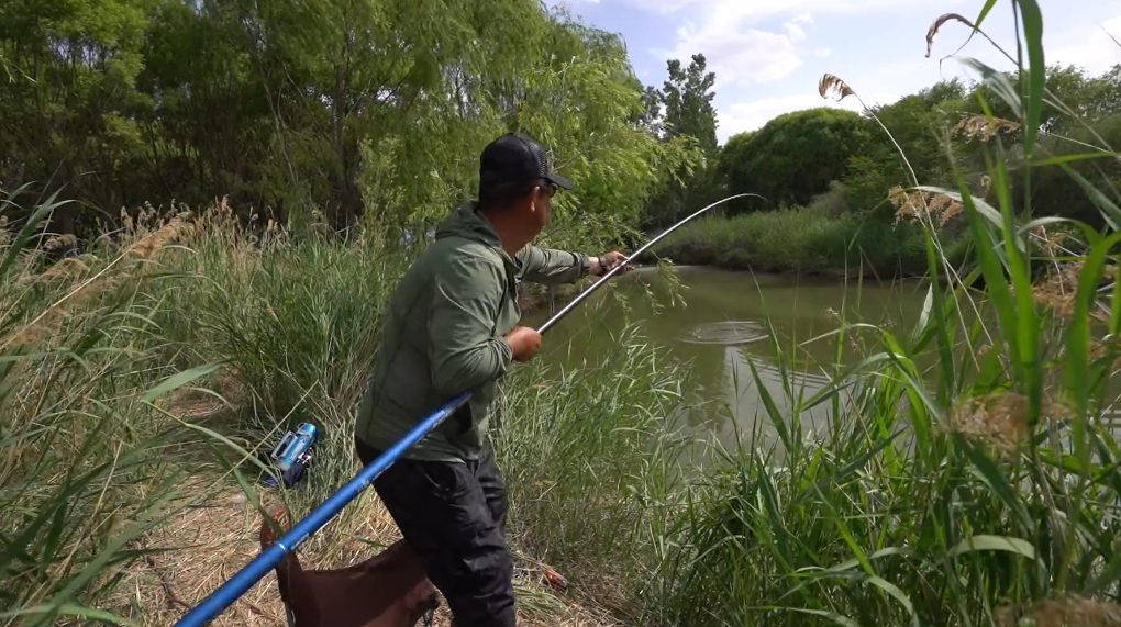 李大毛又跑鱼了!本想长竿短线戏鲫鱼,却频频遭草鱼搅局