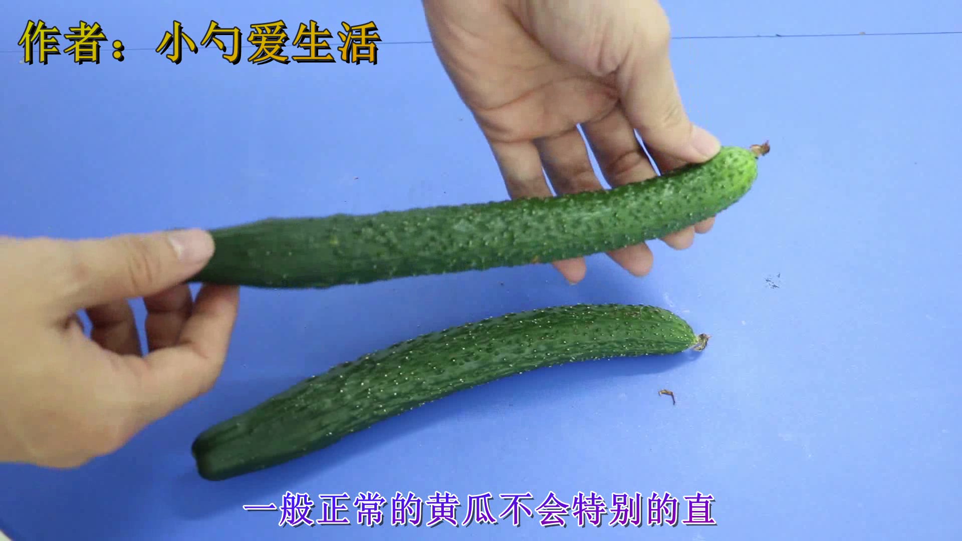 教你一个挑选蔬菜的小窍门,方法简单,看完赶快告诉家里人