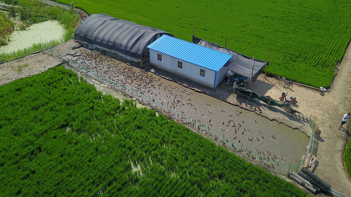 写一份绿色储粮标准化项目实施方案3000字左右关于低温储粮的绿色储粮技术内容包括项目目标、主要实施内容、预期效果、实施时间2022年到2024年的计划表、资金300万元计划表