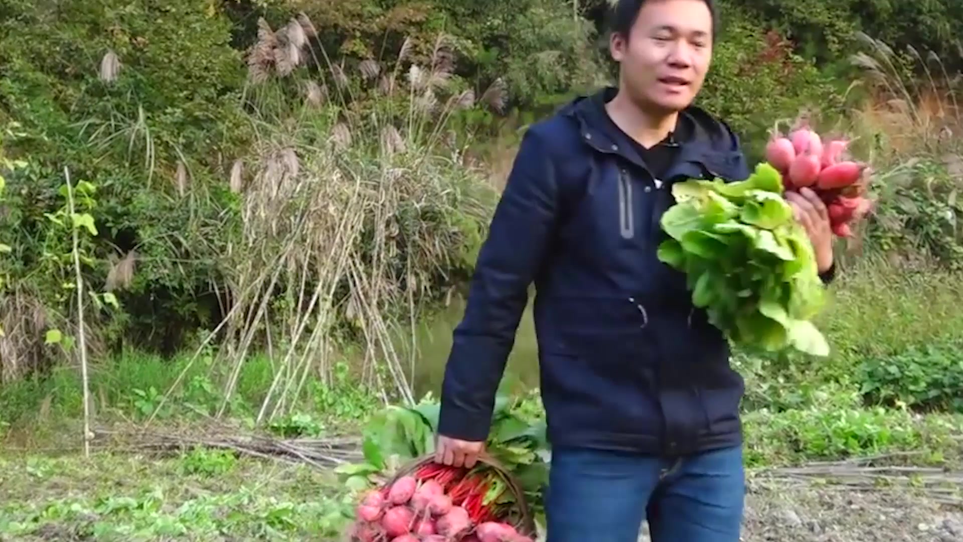 萝卜大白菜叶子背面起白疱是什么病?白锈病,学会这些轻松防治!