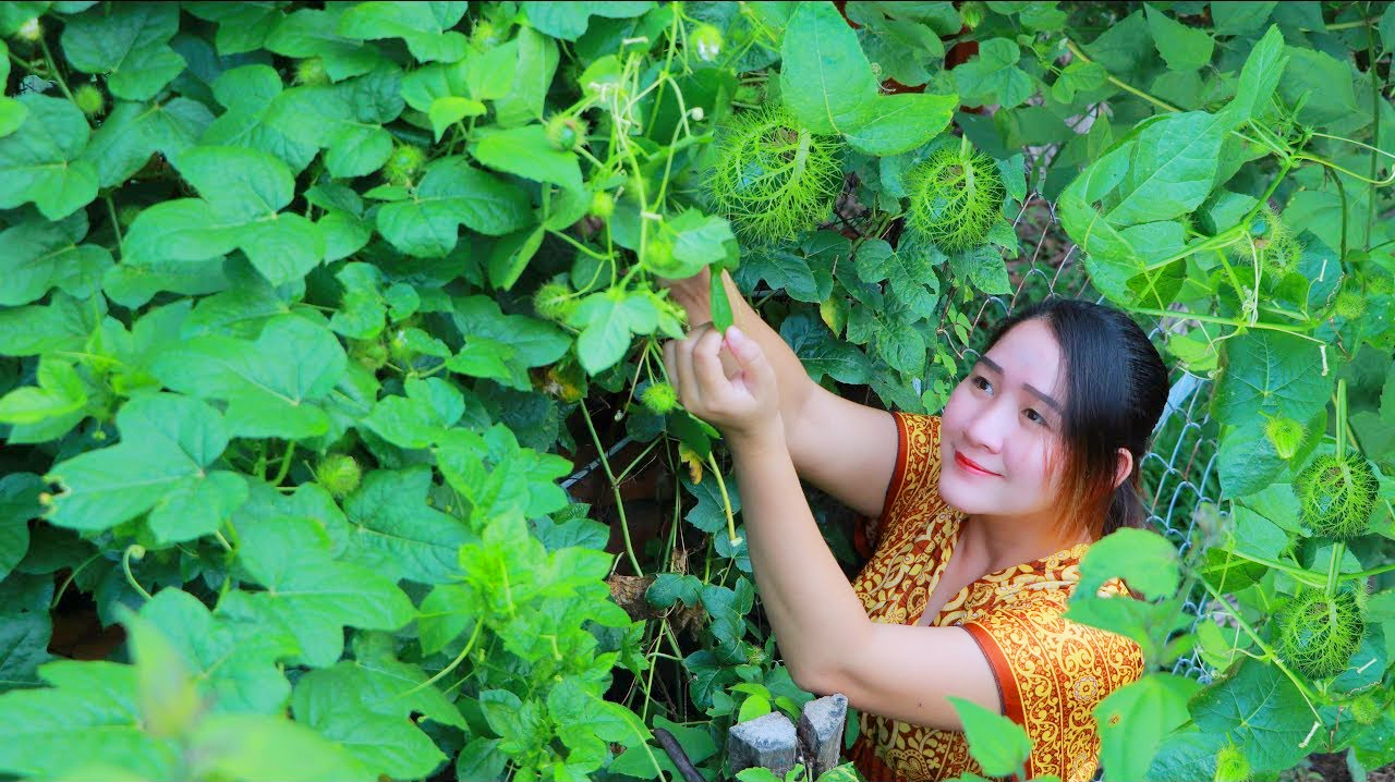农村巧妇:今天找来一些野菜叶和鱼一起烹饪,这吃法你试过吗?