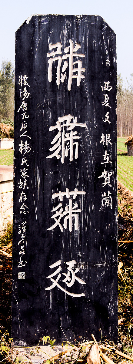 ***_***2014年10月25日,河南省濮阳县柳屯镇杨什八郎村南,全国重点文