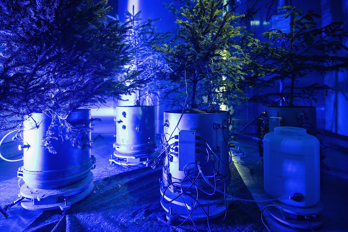 气候动力学期刊：气候科学研究的领先平台