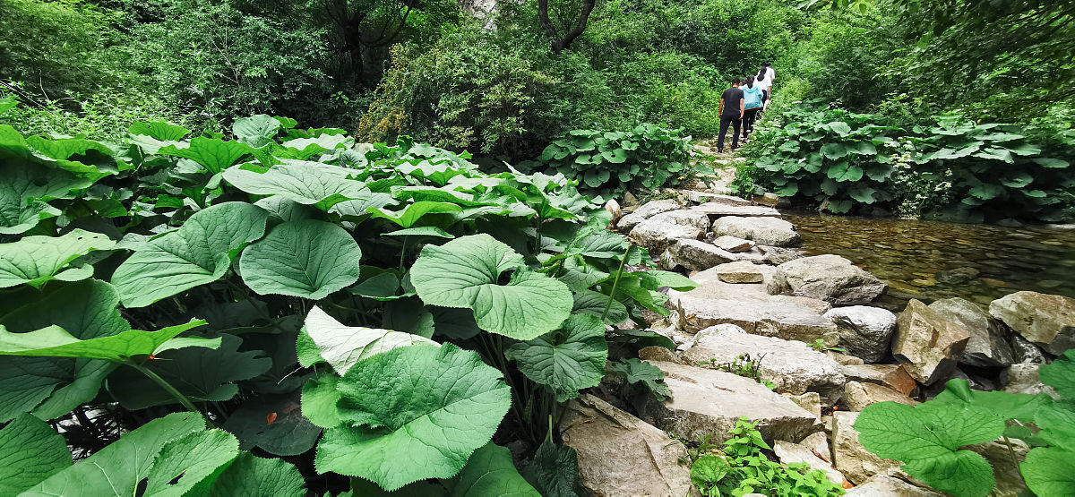 洛南职业技术教育中心2019招生简章