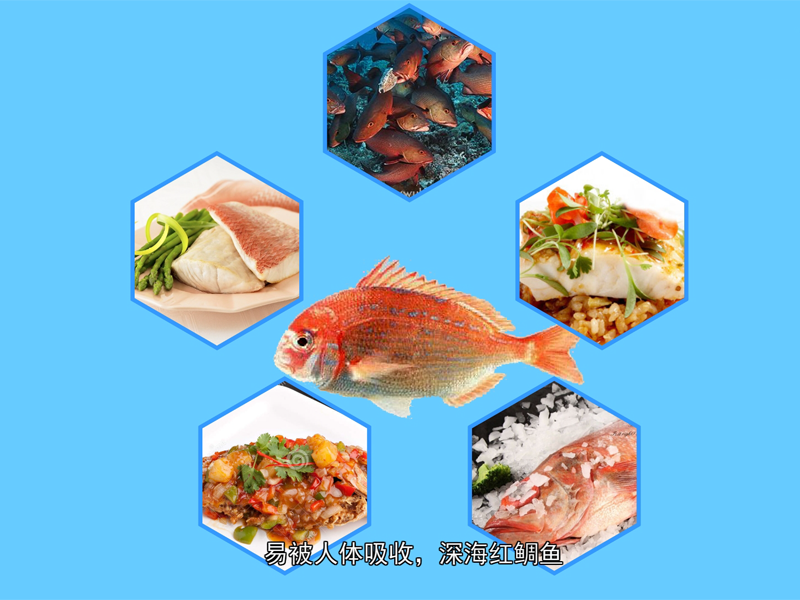 红鲷鱼:是迎宾待客的名贵海味佳肴