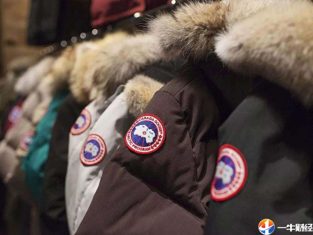 加拿大鹅胸口标志正版图片