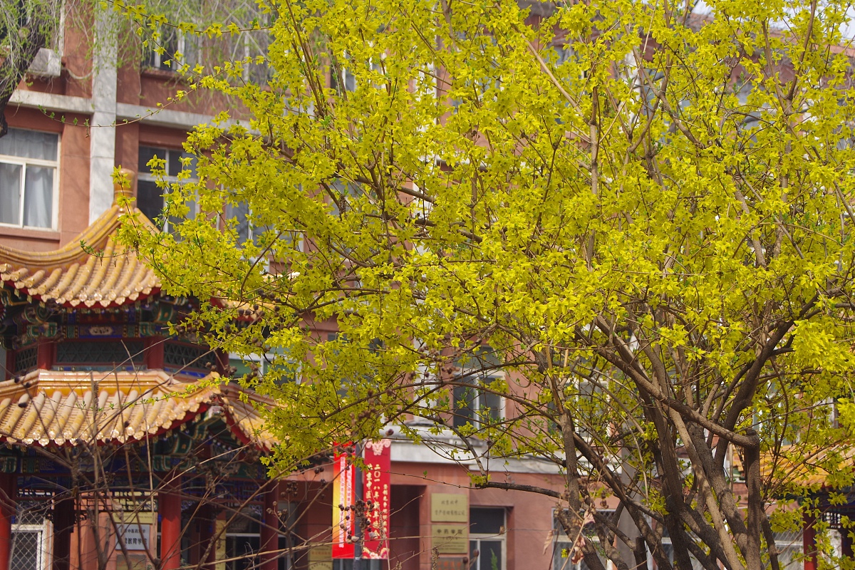 北京哪个大专学校有针灸推拿专业比较好