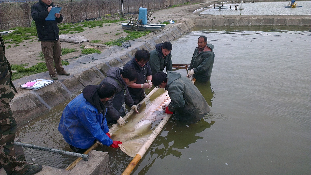 四川省水产学校实践教学怎么样？