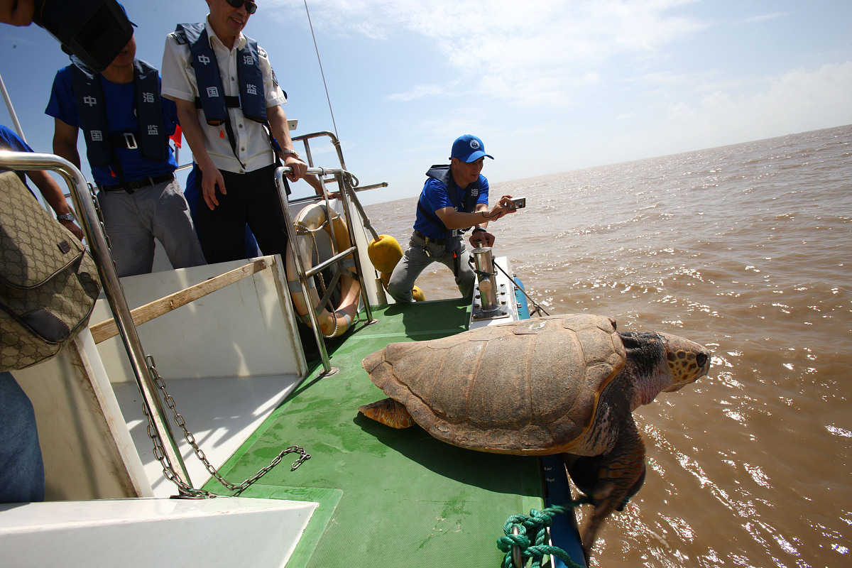 禁渔宣传教育方法：提高渔民环保意识