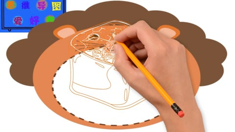 一分钟手绘:如何画出一个香甜可口的寿司