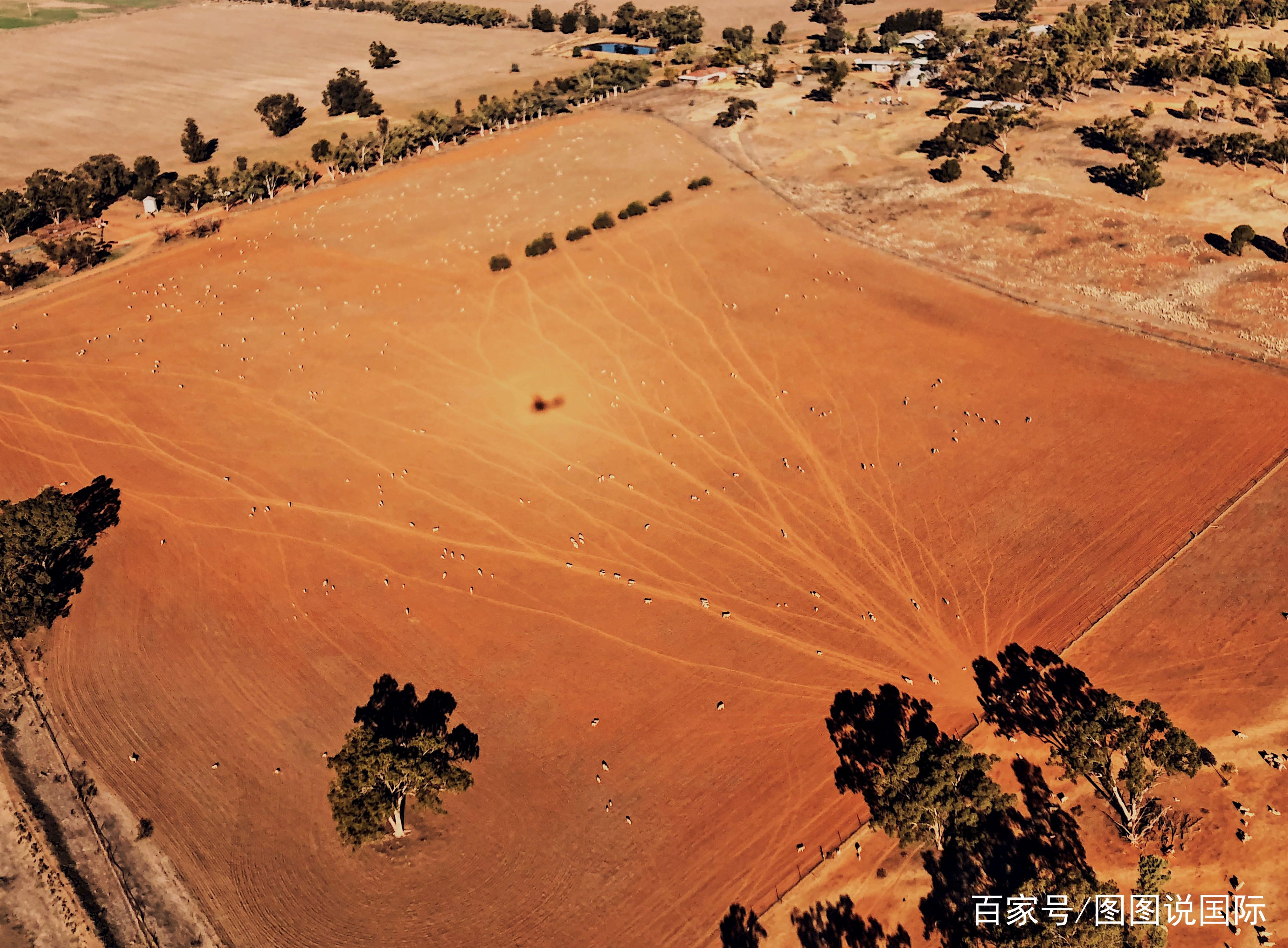 世界水日聚焦各国缺水现状 土地干涸龟裂触目惊心