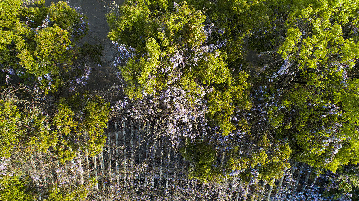 2019四川营山第三中学招生简章 - 优质教育，成就未来