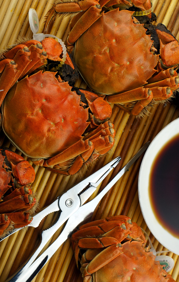 福建农林大学水产养殖学专业排名,就业前景怎么样？