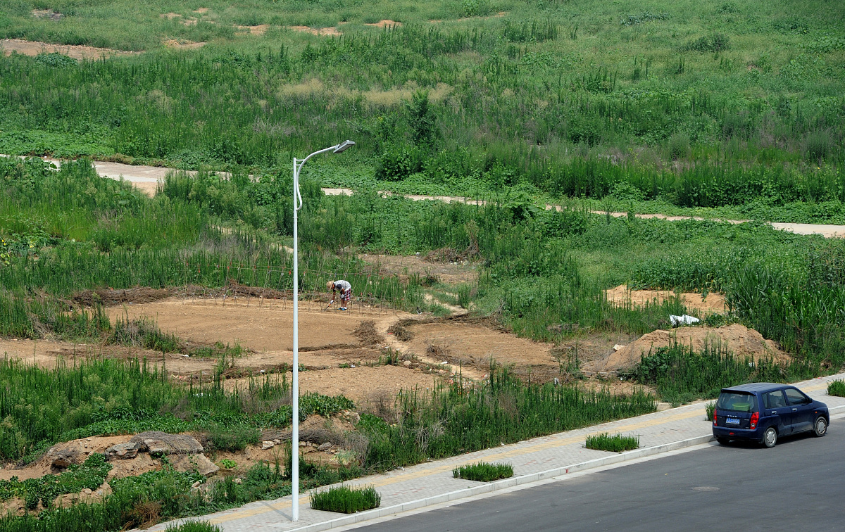 延安市宝塔区春季农田鼠害防治问题研究：选题依据及对策探讨