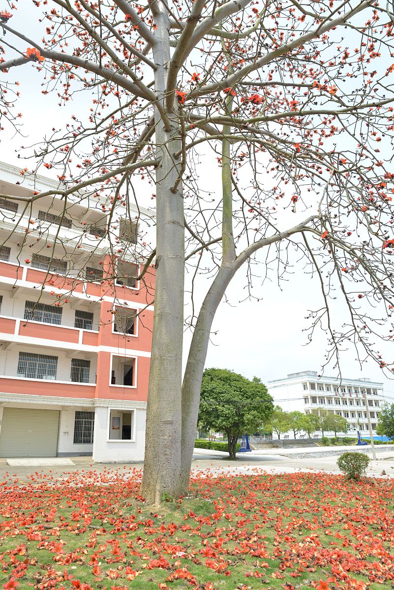 广西城市职业大学电气自动化技术专业怎么样？好学吗？