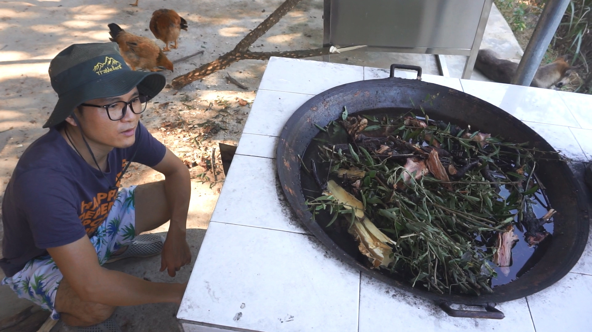 老中医传授了一个偏方,脚哥用来给小鸡治病,熬了满满一大锅
