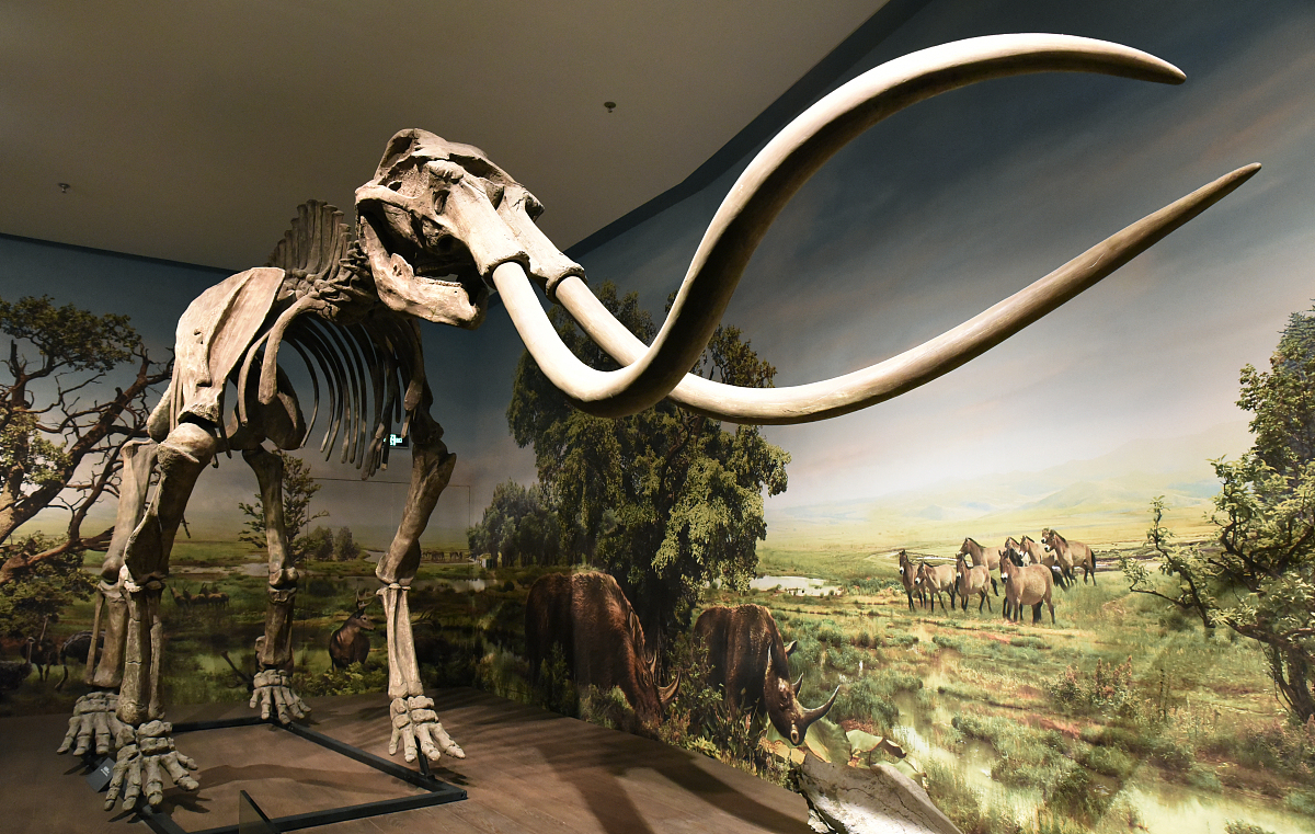 古代动物大全：300种远古生物名字及传说