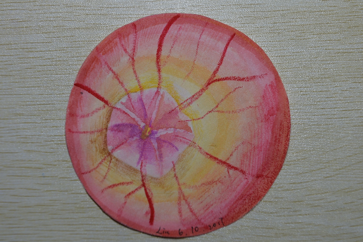 成都卫生学校五年制大专临床医学专业介绍 - 培养优秀医学人才