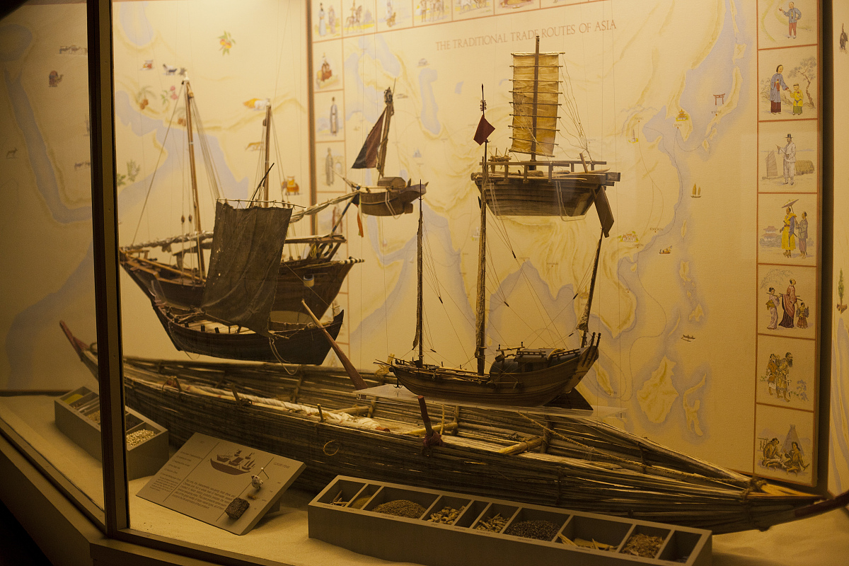 广西民族大学人类学专业优势及就业前景深度解析