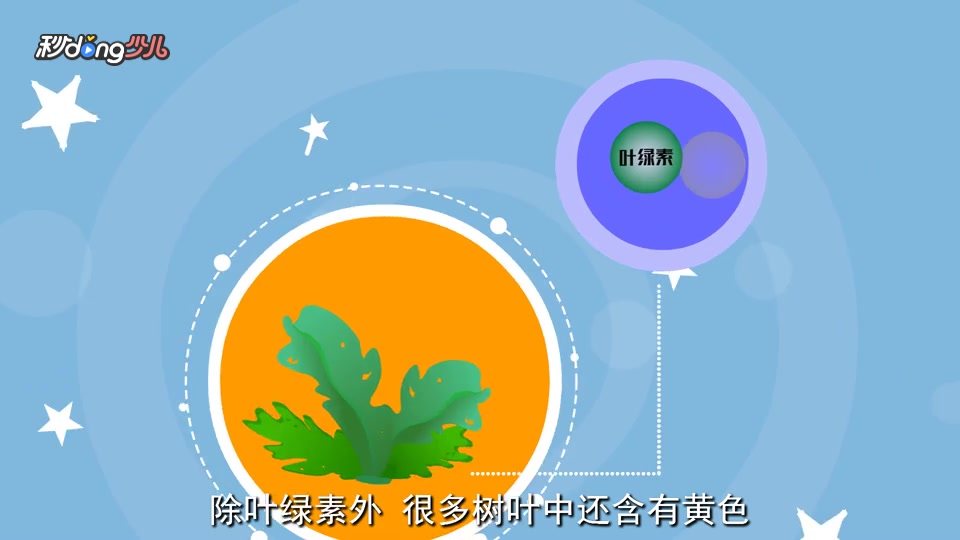 雪里红为什么是绿色的呢?