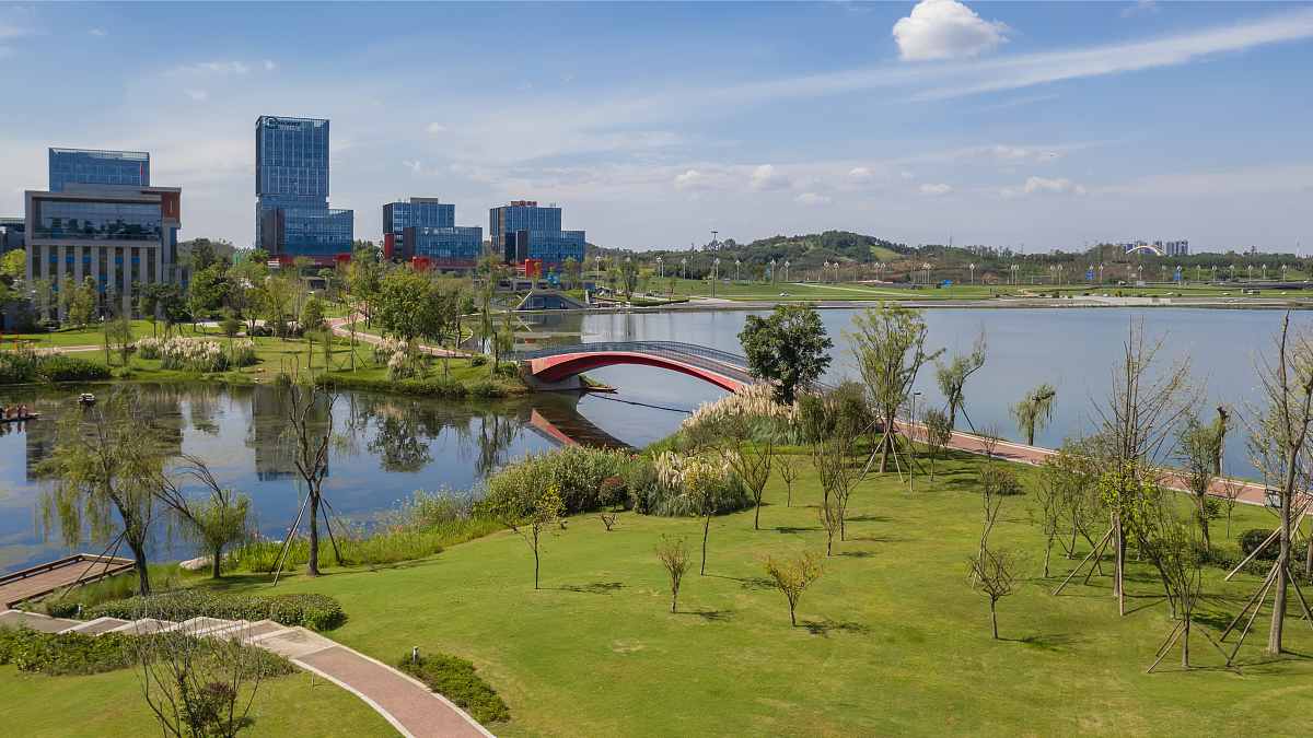 实验教学示范中心建设的五大支撑：教材、著作、专利、软件、数据库