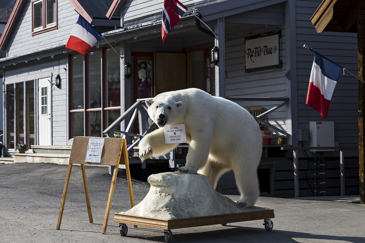 女主角九爪鱼的狗血爱情冒险故事300字左右男主角叫水笔