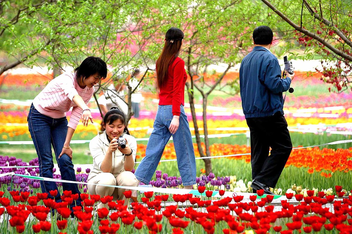 首届世界名花博览会各国名花本周起渐入佳期.2004年4月21日,室外展区