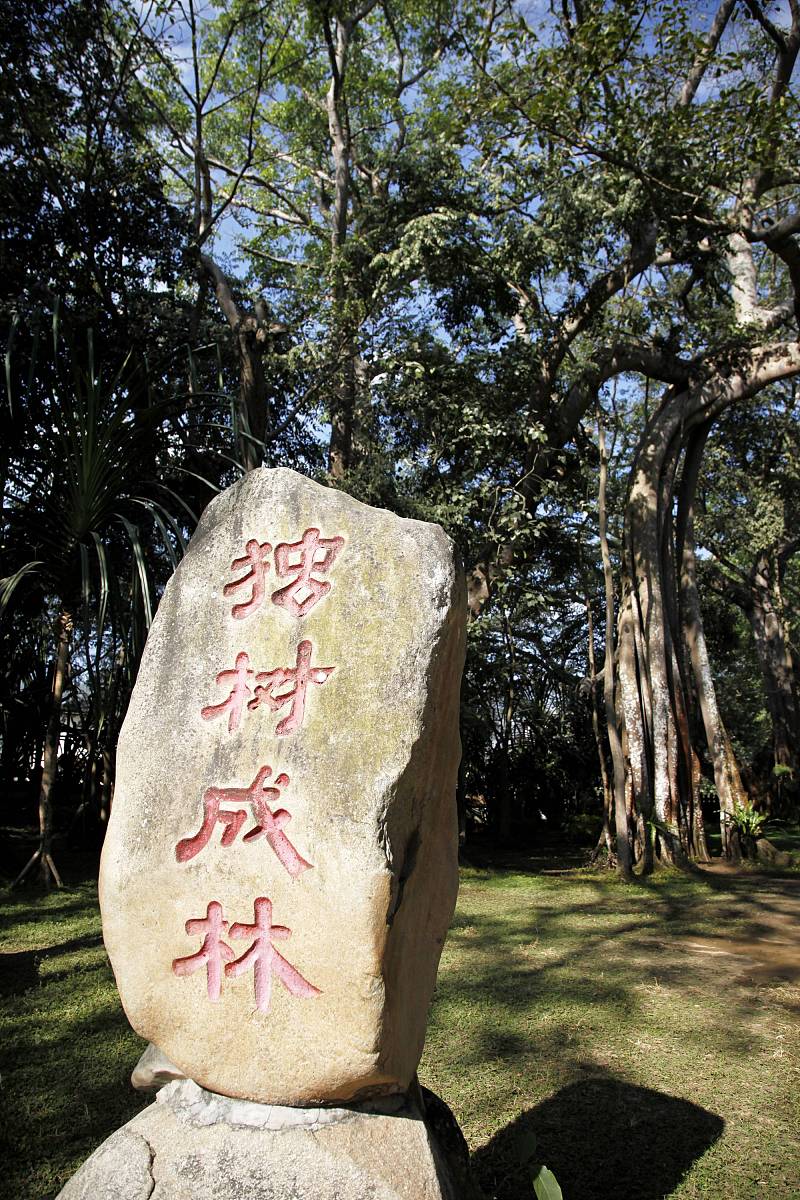 缘起缘灭，相逢何必？