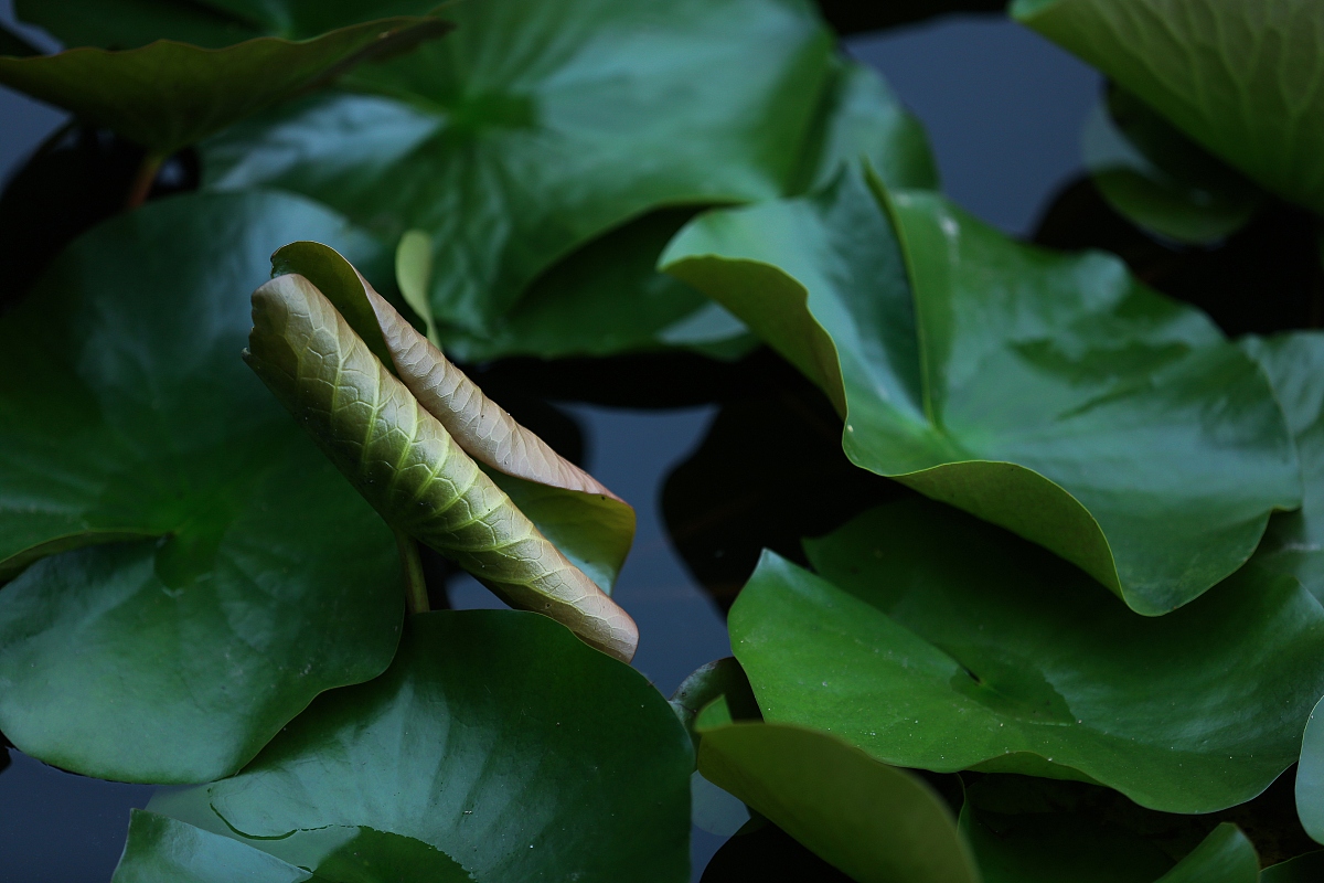四川物业管理专业哪个学校好？四川大学物业管理专业优势分析