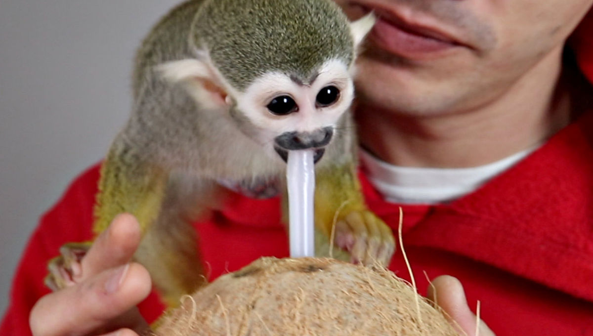 2019年贵州应用技术职业学院招生简章