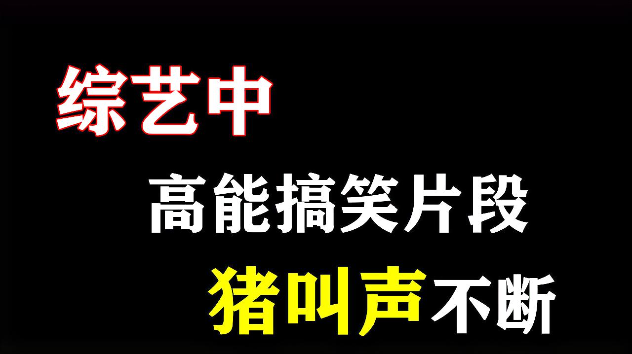 [图]盘点综艺中的高能搞笑片段,全程猪叫声不断,看一次爆笑一次