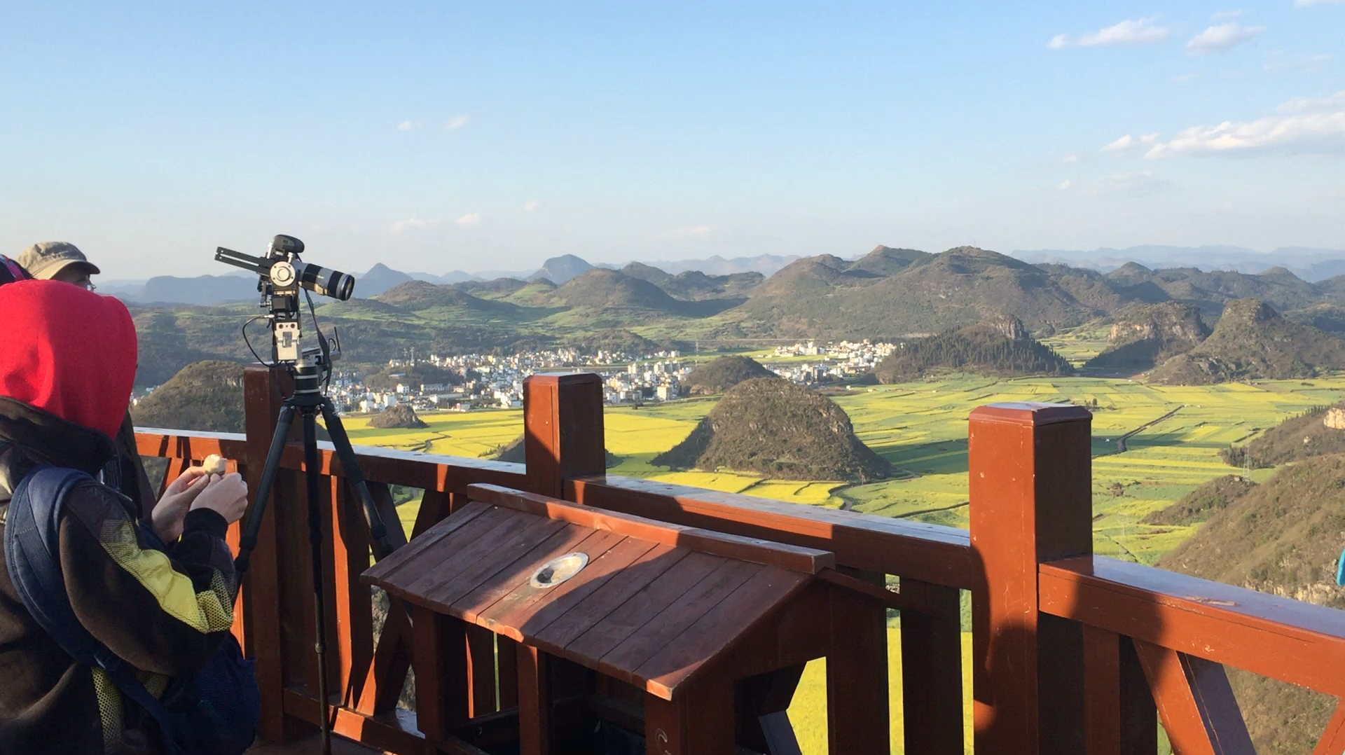 “醉美云南”—罗平油菜花海,是最美的景点,门票20元