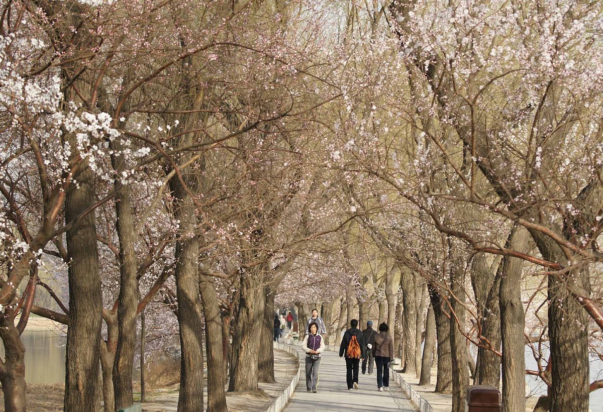 春天景色的句子