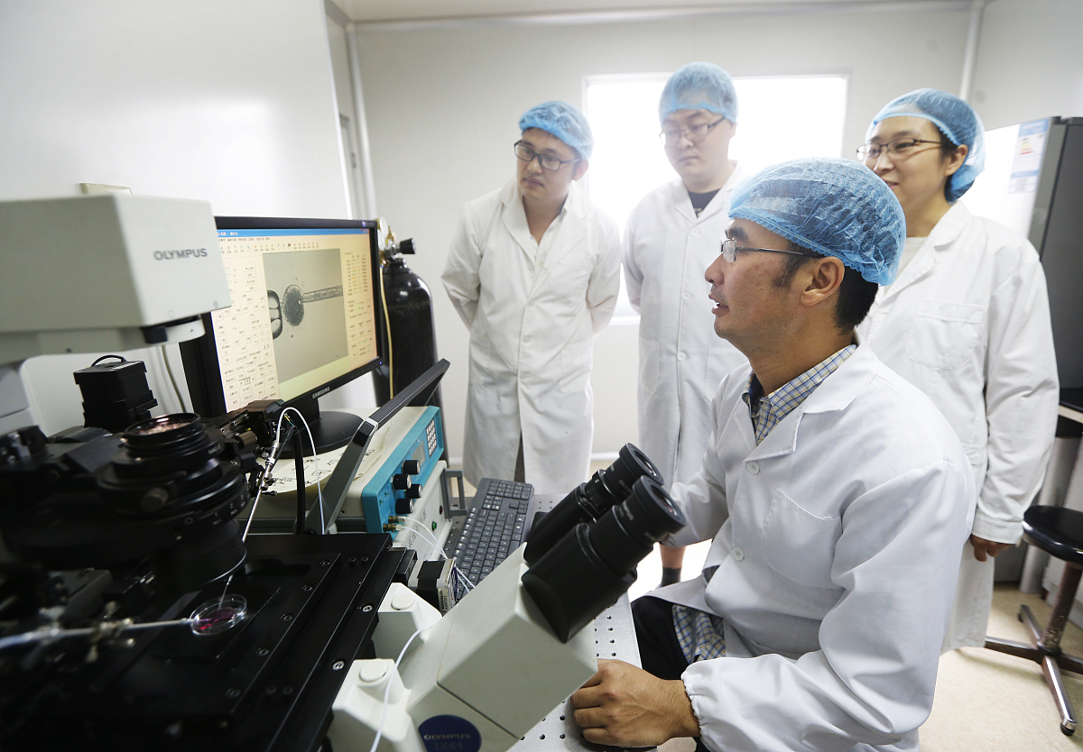 论文框架跨学科