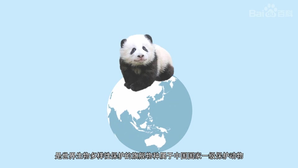 快速了解大熊猫