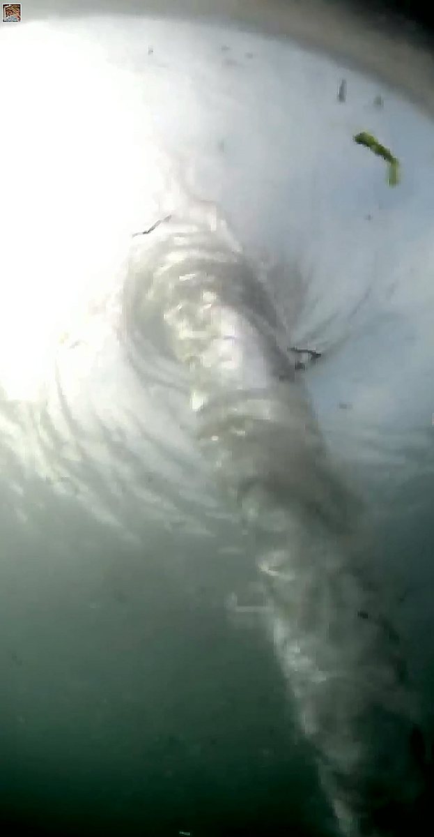 自由冒险 - 歌词创作 - 表达反叛与冒险精神的流行歌曲