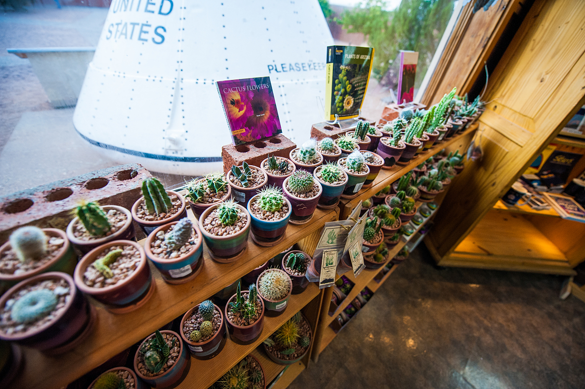 宁夏地质工程学校招生简章 - 培养地质工程领域的未来精英