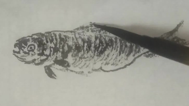 国画积墨法画水中游鱼,留白得当