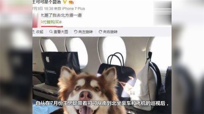 身穿维密同款,她才是王思聪最爱的女人,所有前任都被比下去了!