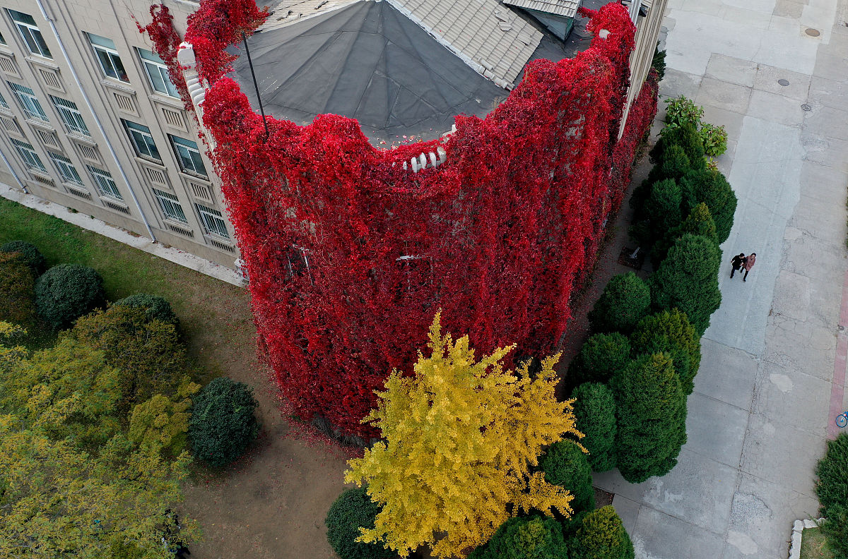 辽宁工程技术大学金融学专业怎么样