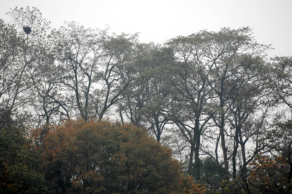 湖北2022年初中生报考卫校指南：专业、质量、就业全方位解析