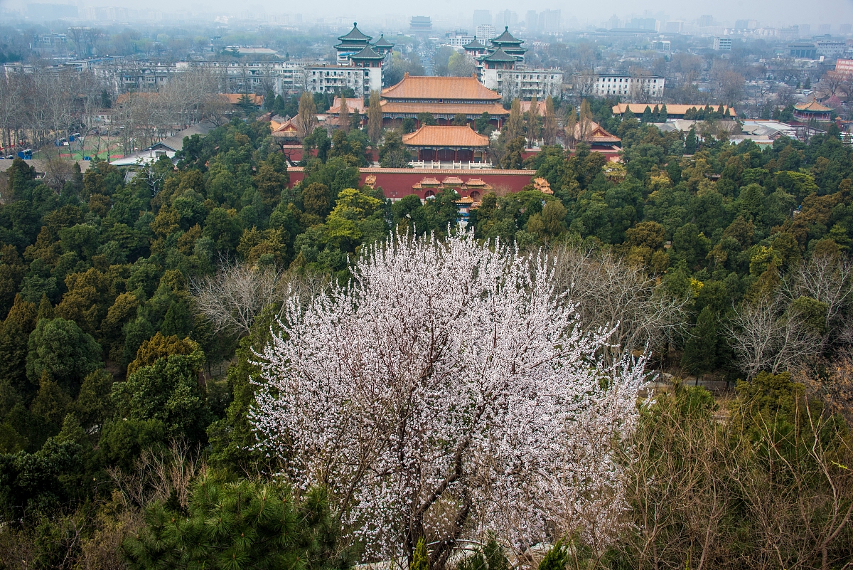 北海艺术设计学校怎么样？教学质量深度解析