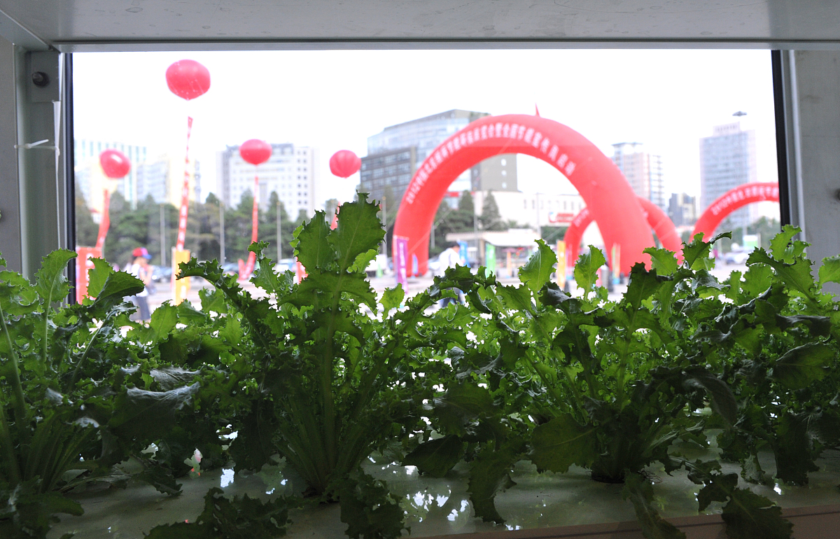 国内外学者对经济高质量发展进行了大量深入研究并取得了丰硕的成果。而新发展理念中的创新、协调、绿色、开放、共享不仅是党的重要理论创新也是经济高质量发展的重要评价标准所以本文结合城市数据可获得性参考刘佳2021关于经济高质量发展指标的体系构建选取创新、协调、绿色、开放和共享五个维度构建长三角地区地级市经济高质量发展评价指标体系从而更全面地衡量经济发展。对这段话改写降重